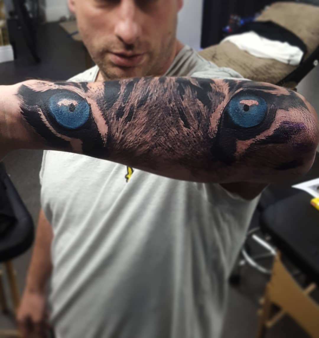 Traditional color wolf eye with a rose tattoo Mike Riedl Art Junkies Tattoo  by Mike Riedl TattooNOW